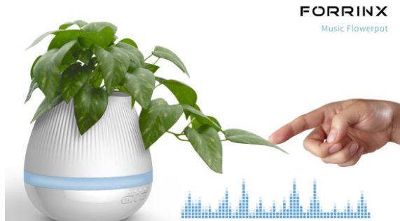 �{(l��n)������CE�J(r��n)�C